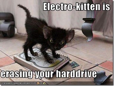 funny-pictures-kitten-erases-your-hard-drive