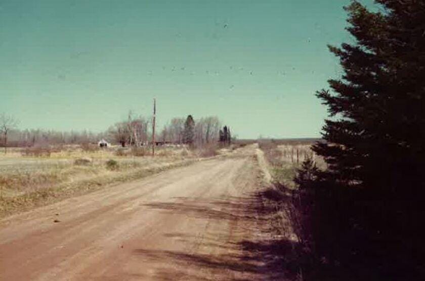 A dirt road with trees on the side

Description automatically generated with medium confidence