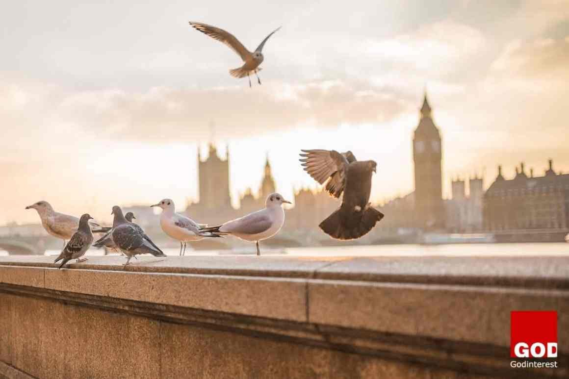 London Mayor Boris Johnson has said £1.3tn of investment is needed over the next 35 years in order for London to retain its world class status London Mayor Boris Johnson has said £1.3tn of investment is needed over the next 35 years in order for London to retain its world class status