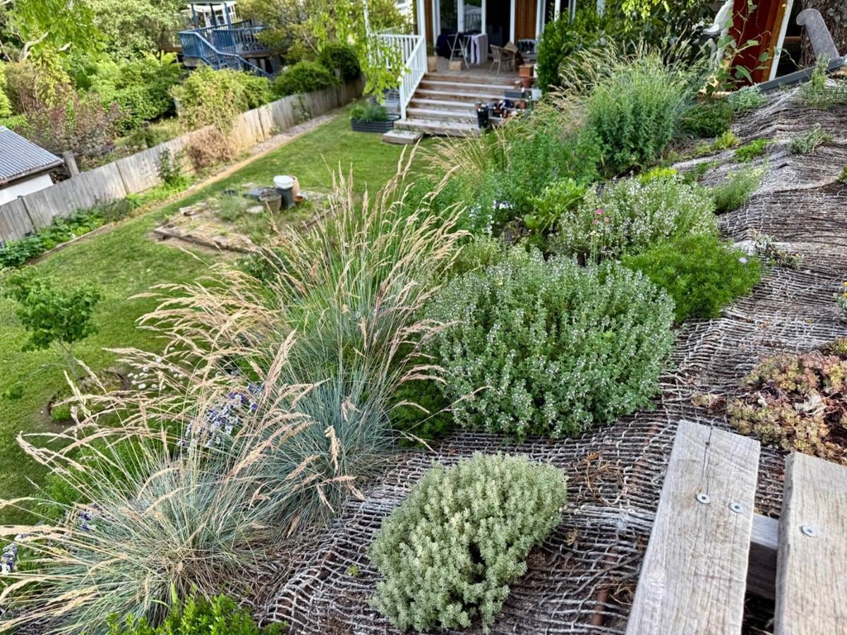 The irrigation of the roof garden increases cooling in Summer The irrigation of the roof garden increases cooling in Summer