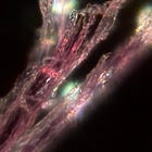 Massive changes in the "code" strands and new fibers in the blood