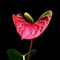 SRIDHARA M G's avatar