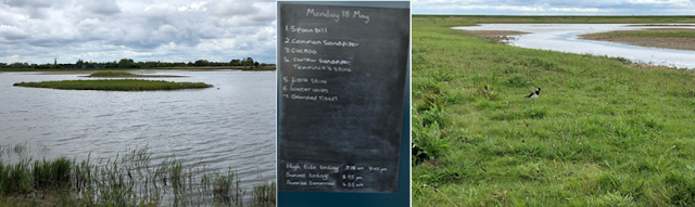 Sightings Board and View at Frampton Marsh Sightings board and two shots of Frampton Marsh