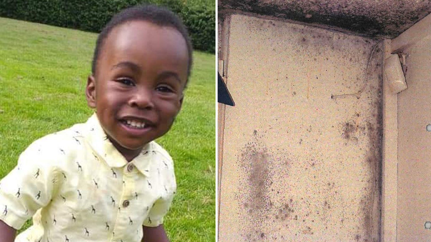 Awaab Ishak: Toddler's death from mould triggers review of landlord  guidance | UK News | Sky News