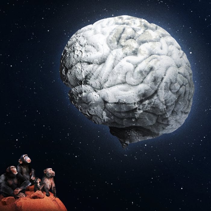 Illustration of chimpanzees looking at a brain shaped like the moon.