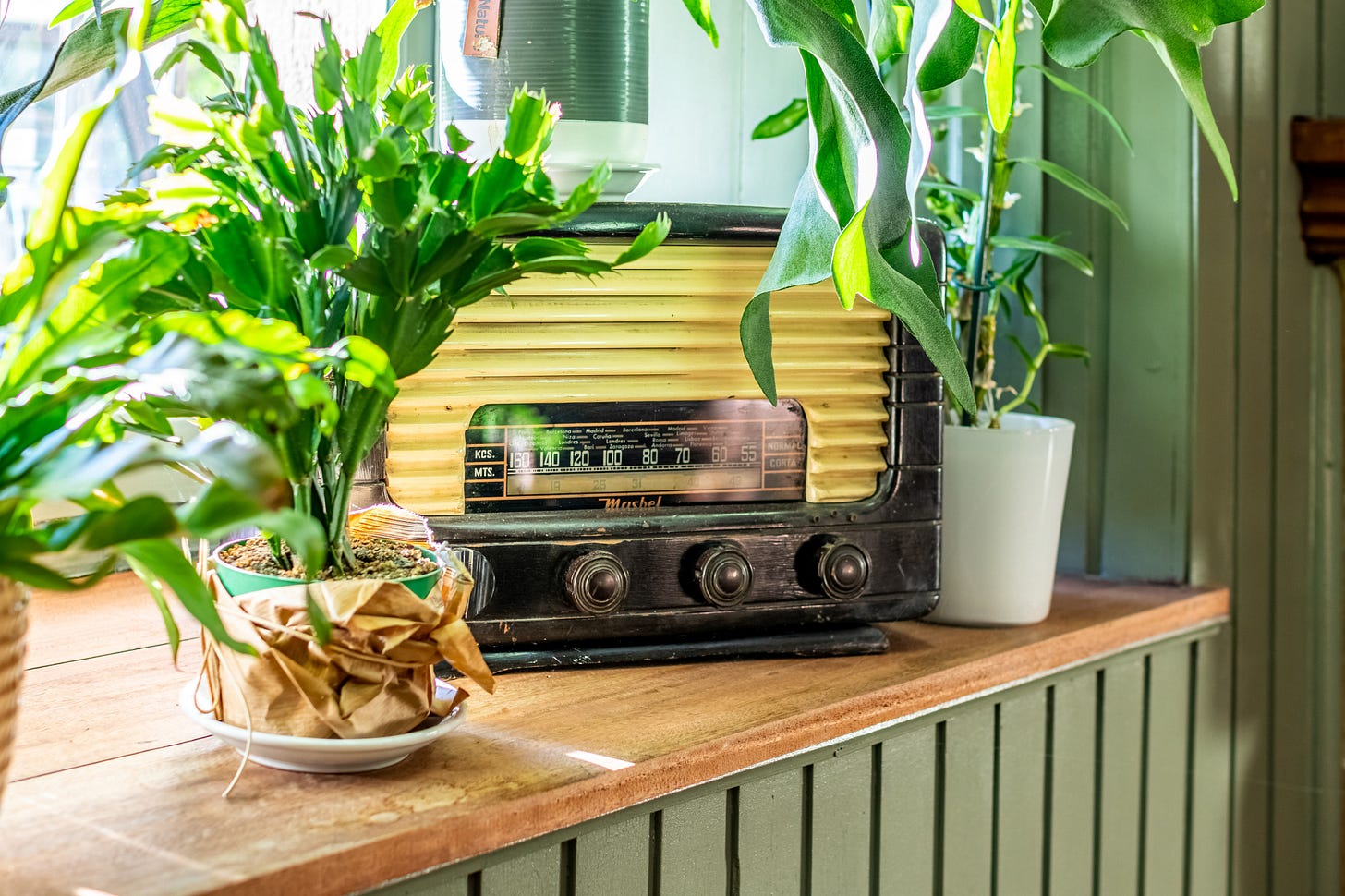 Old yellow and black radio on a wooden window sill, between two green plants. 