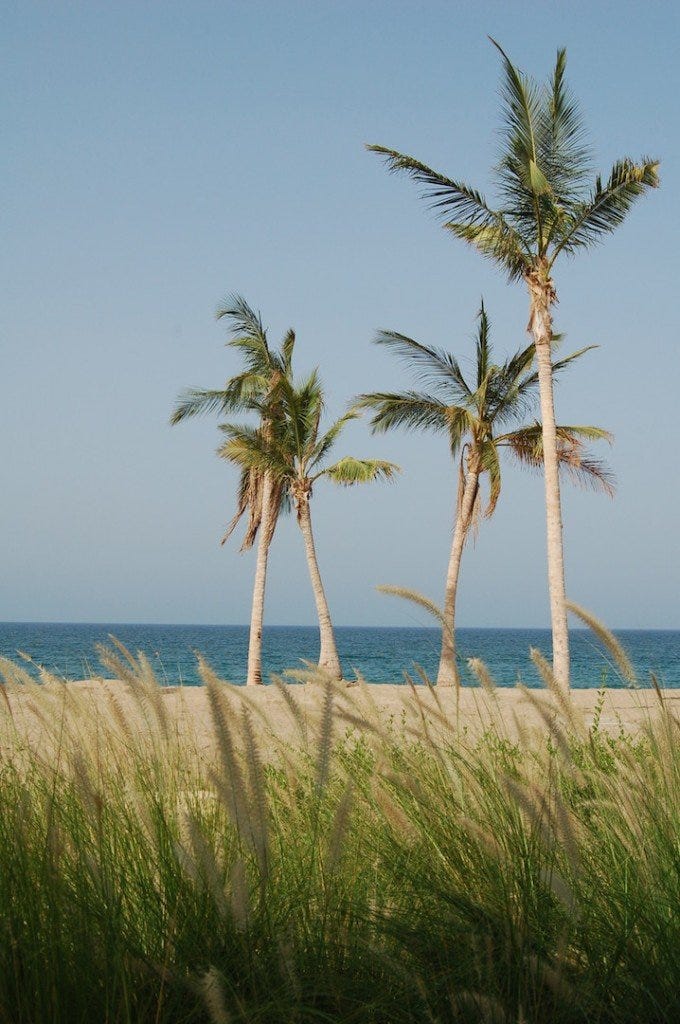 Muscat beaches