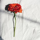 Whose Shame Are You Carrying?