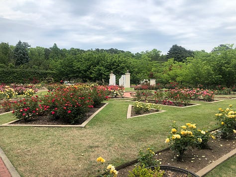 pictures from the birmingham botanical gardens