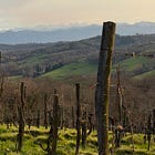 Is Jurançon the Next “It” Wine Region?