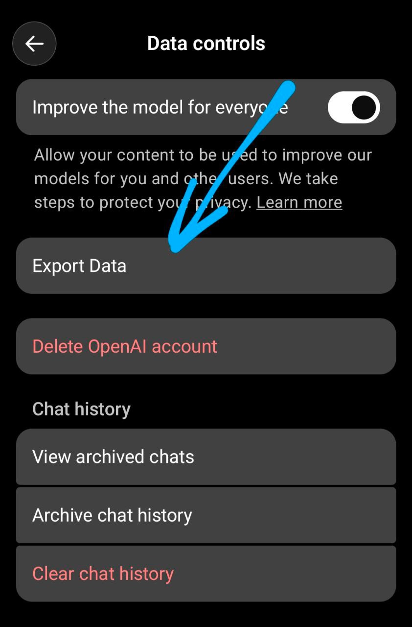 ChatGPT data controls settings showing export option
