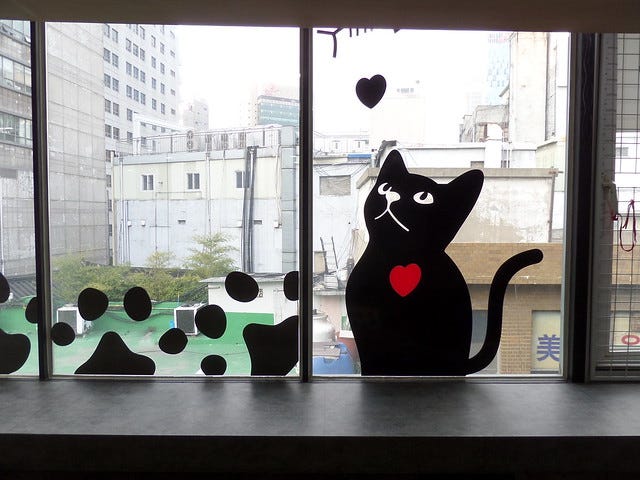 Godabang Cat Cafe Seoul Godabang Cat Cafe Seoul