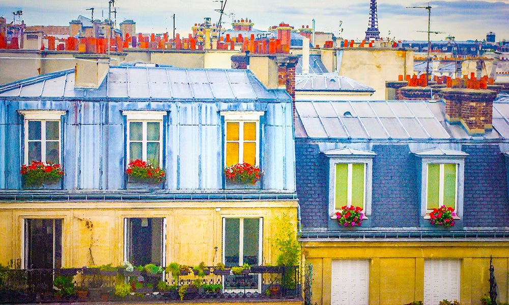 The Rooftops of Paris: A Battle Between Beauty and Survival