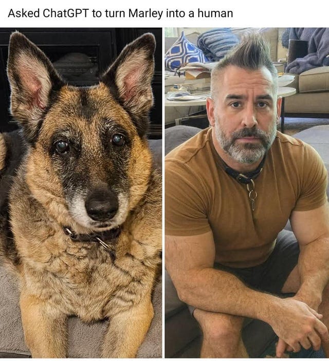 r/ChatGPT - Dog into human r/ChatGPT - Dog into human