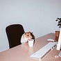 The Worktable Archive's avatar
