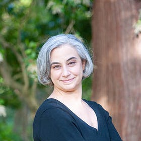 Author Laurie Frankel Live 8/27 @ 7:15 PM Central