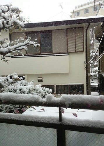snow in tokyo snow in tokyo