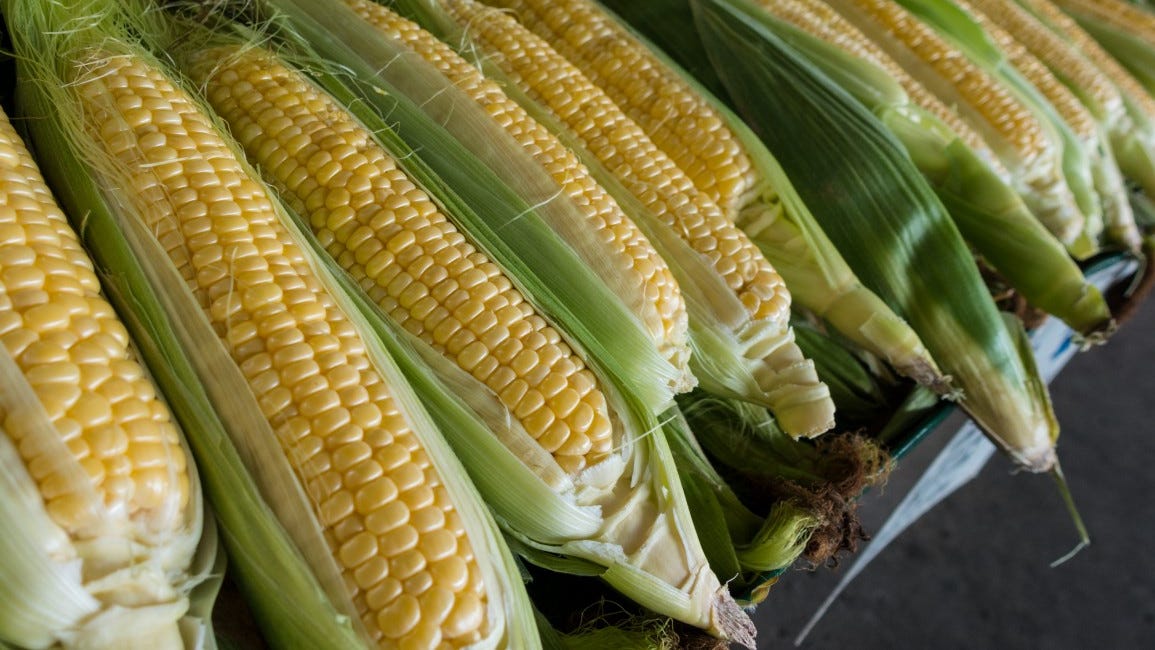 Understanding The Politics Of Corn Farming And Its Impact On Human Health.