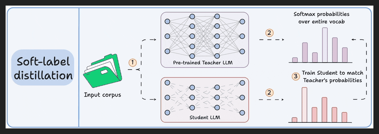 Slide 7