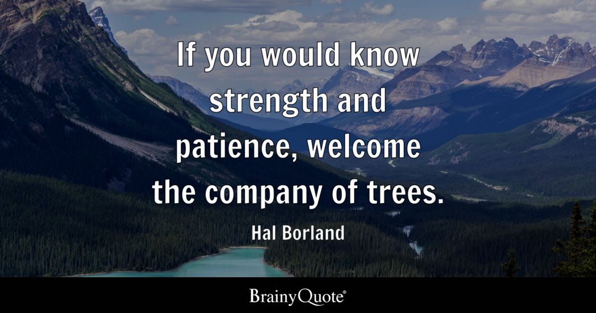 If you would know strength and patience, welcome the company of trees.