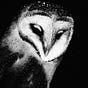 ℛ. ℋ࿐'s avatar