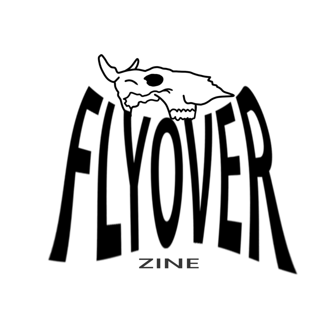 FLYOVER logo