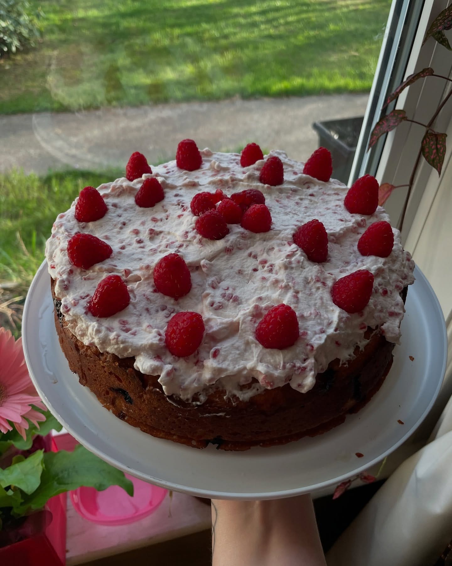May be an image of cake