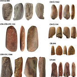 Anthropology.net