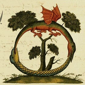 Decoding Life's Symphony: How Wave Genetics Harmonizes with PET (Pt. 2)