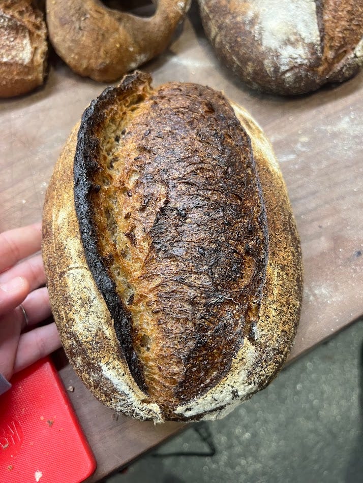 Rise Baking Lab Days 2/3 - by Laila - The Early Risers