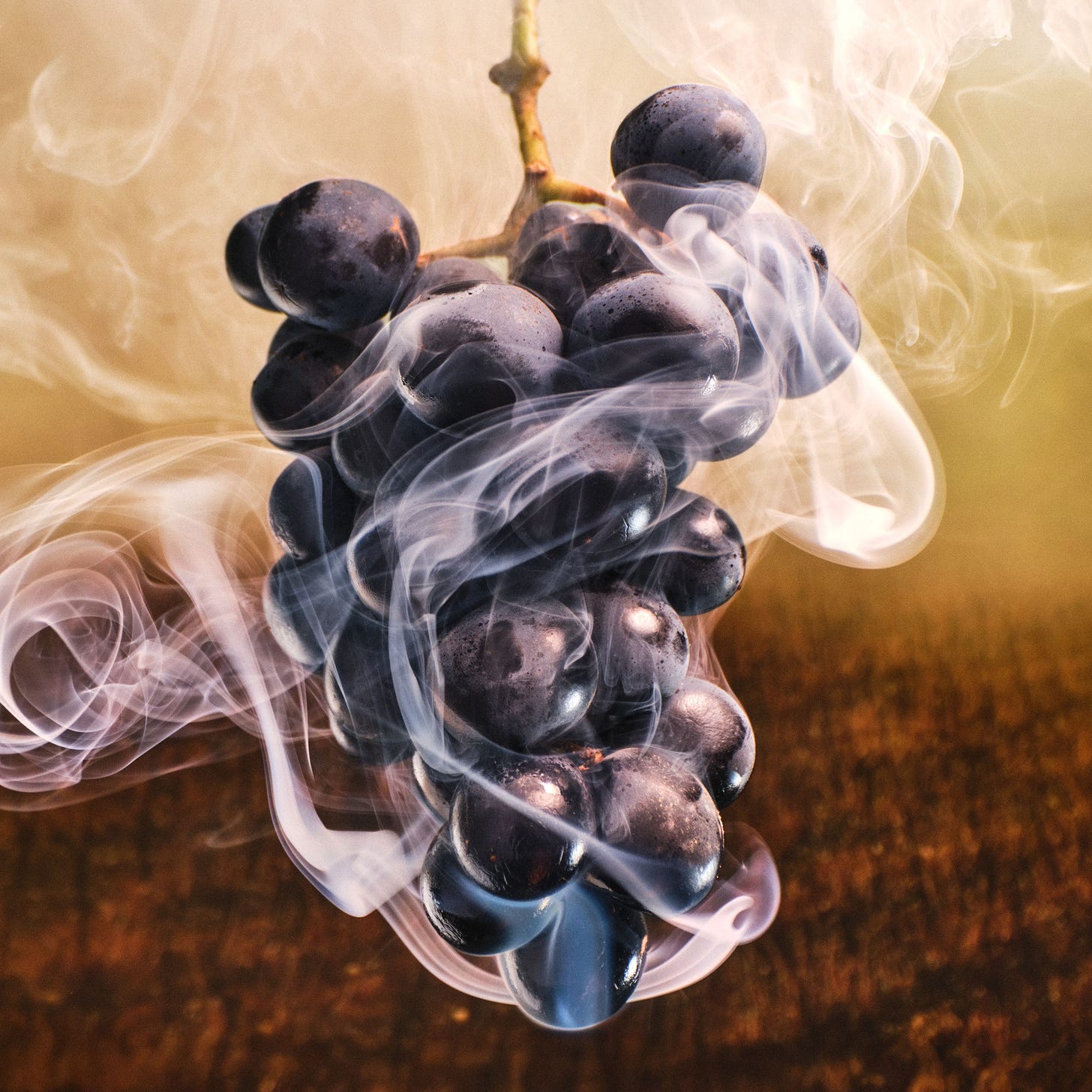 Image may contain Food Fruit Grapes Plant Produce Person and Smoke