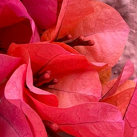 Reducing Overwhelm 