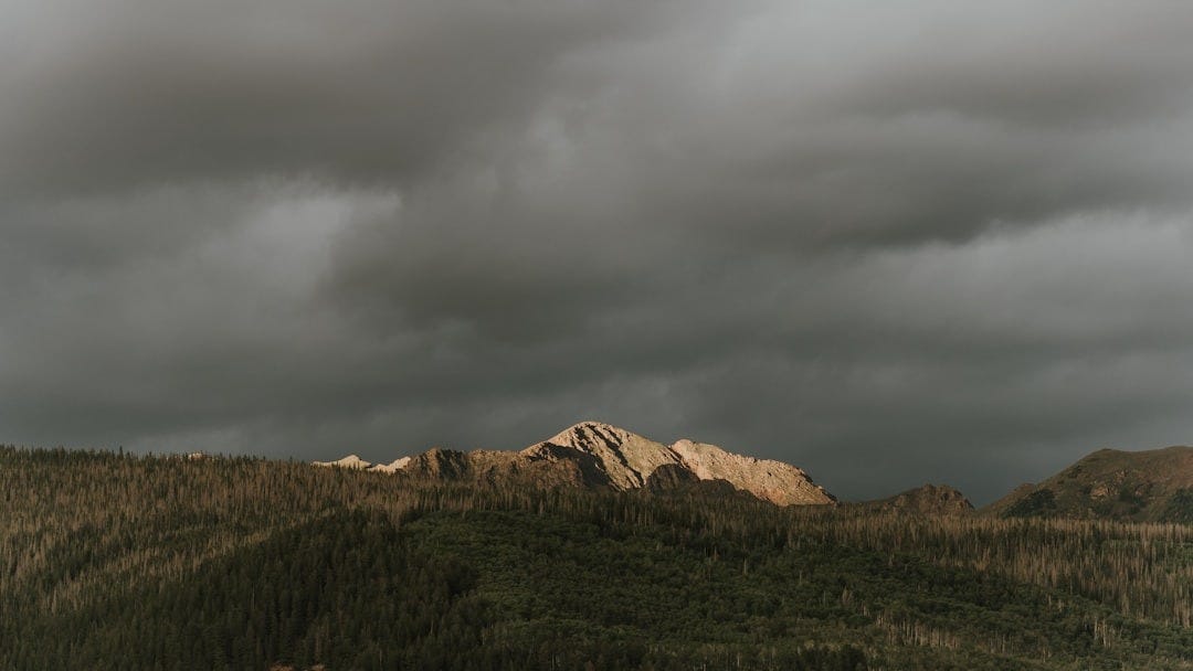 a grassy field with a mountain in the distance