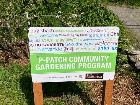 Gleaners learning and volunteering at the food forest