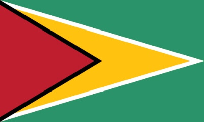 Guyana's national flag—the Golden Arrowhead.