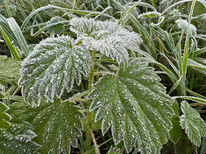 Scenes of winter frost and chilly, misty air along Oxford cycle paths.