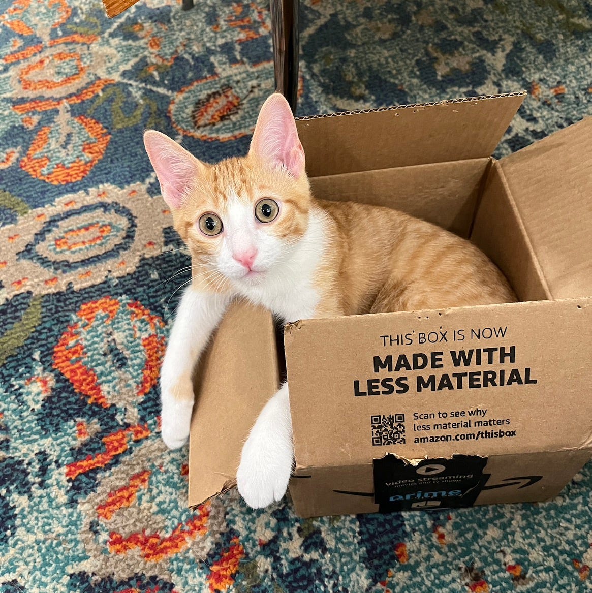 April's Voice, Through Poetry