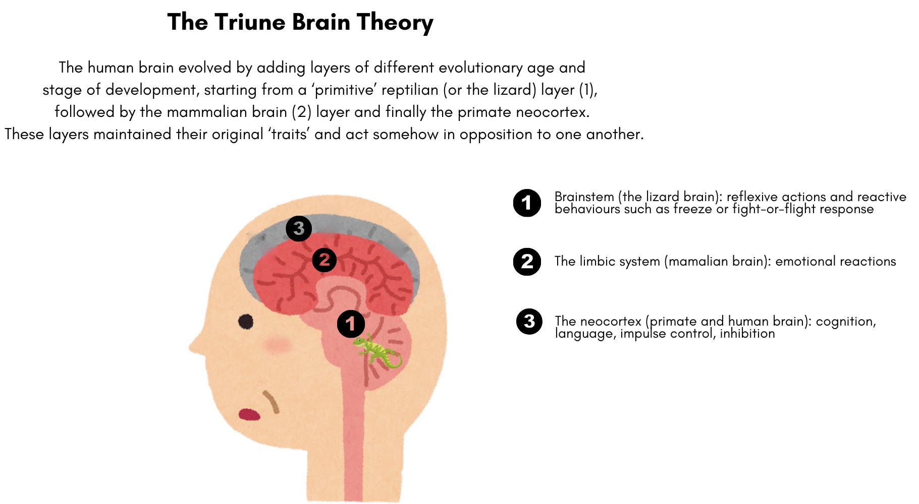 Goodbye Lizard Brain - by Ana Lund