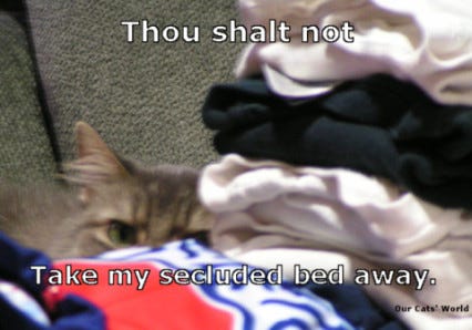 Kali Folded Laundry Kali Folded Laundry