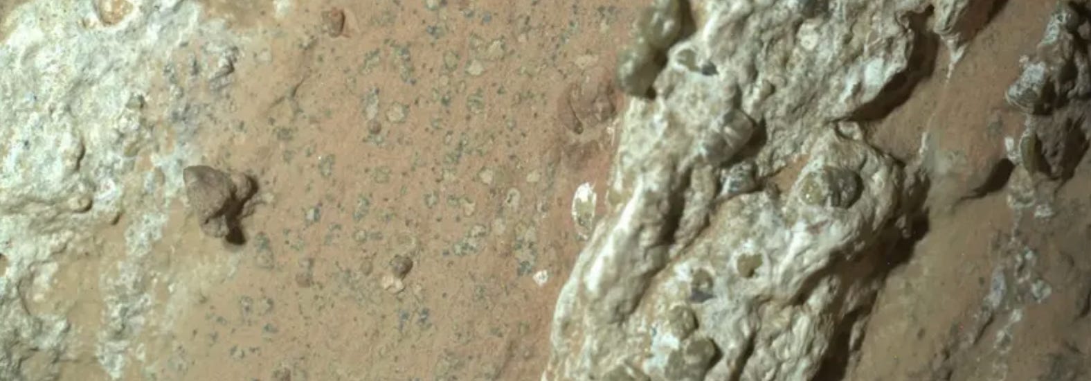 New evidence for old life on Mars