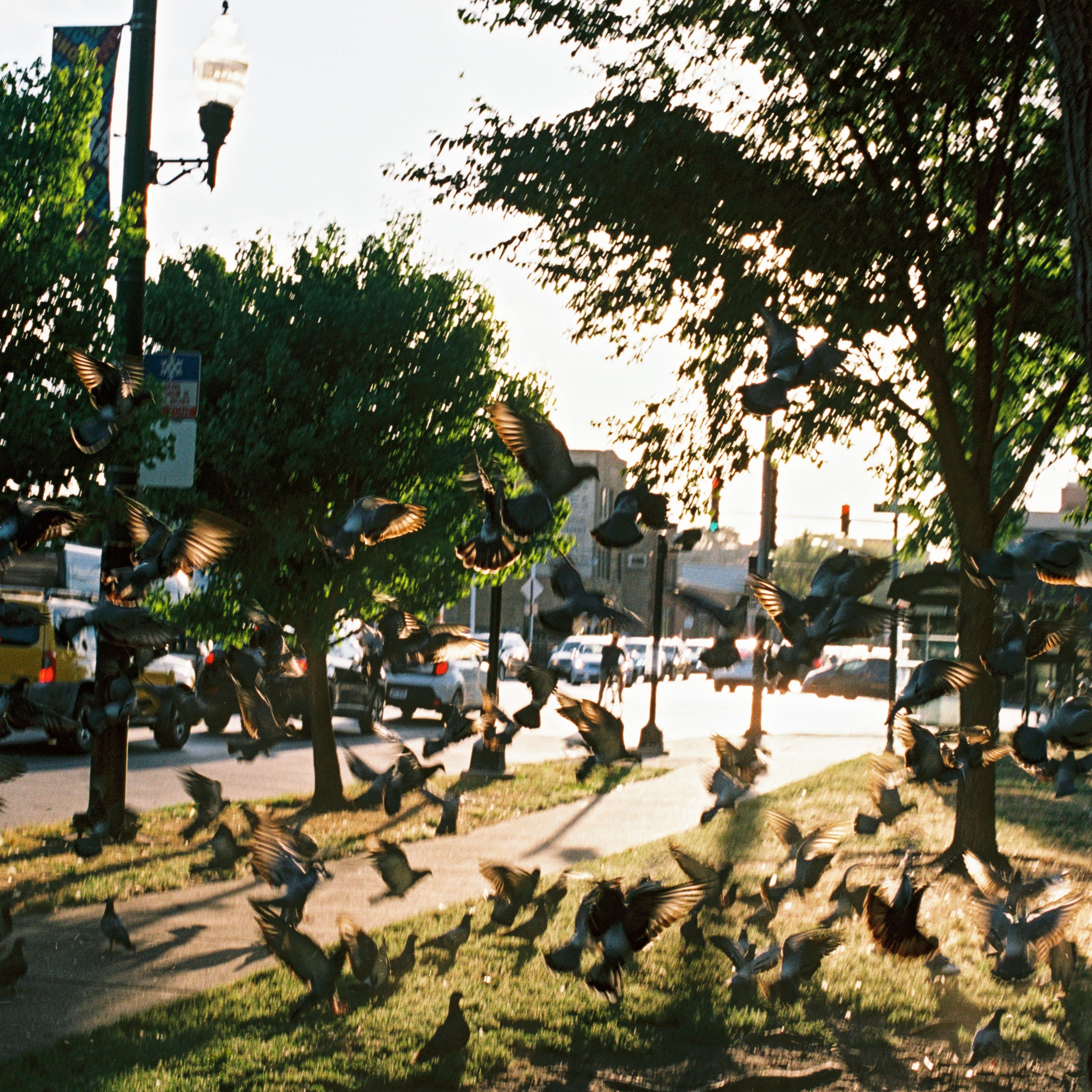 unbecoming the social worker