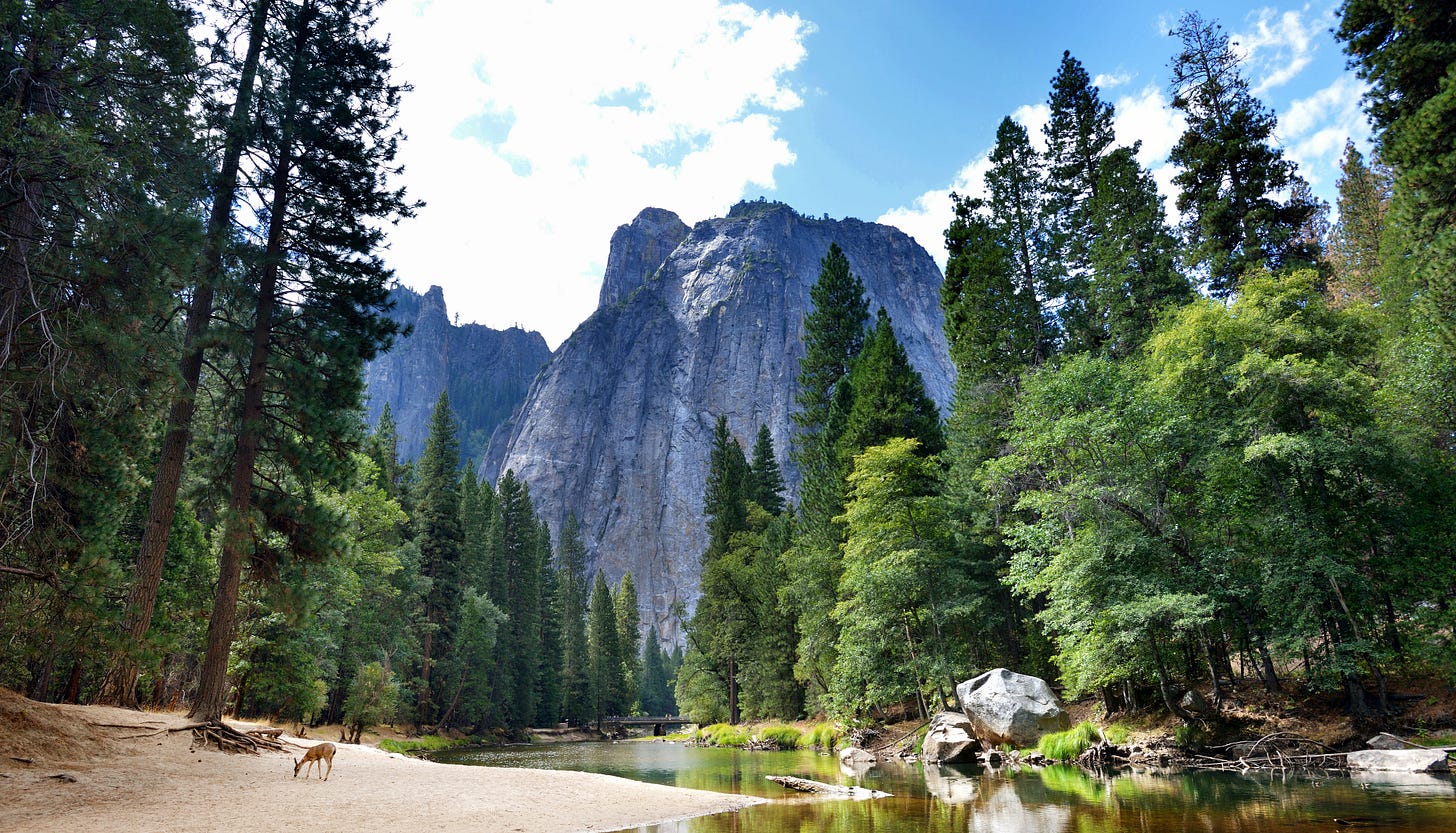 Yosemite National Park