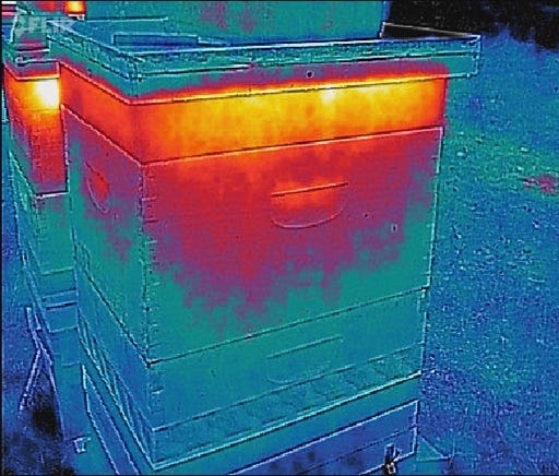 A close-up of a beehive

AI-generated content may be incorrect.