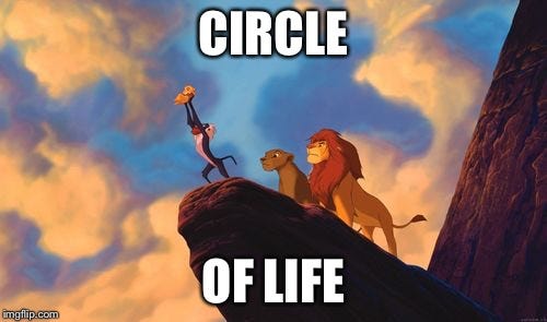 circle of life - Imgflip