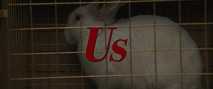 Jordan Peele’s “Us” | Spotting the White Rabbit