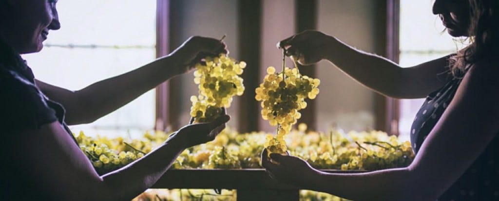 Image from the Soave Consorzio trade association, https://ilsoave.com/en/