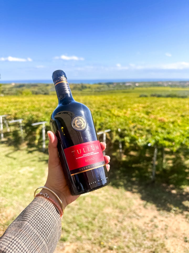 Montepulciano d'Abruzzo Wines