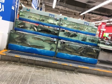 Not the aquarium, either!