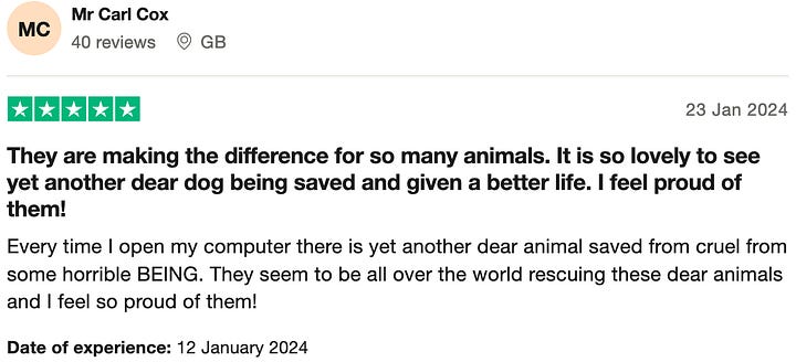 Brainless and fake Trustpilot reviews
