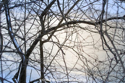 Six more photos include a Robin, nest, icy creek, bright red leaves on a winter background, grape vine, and branch piercing through a frozen creek